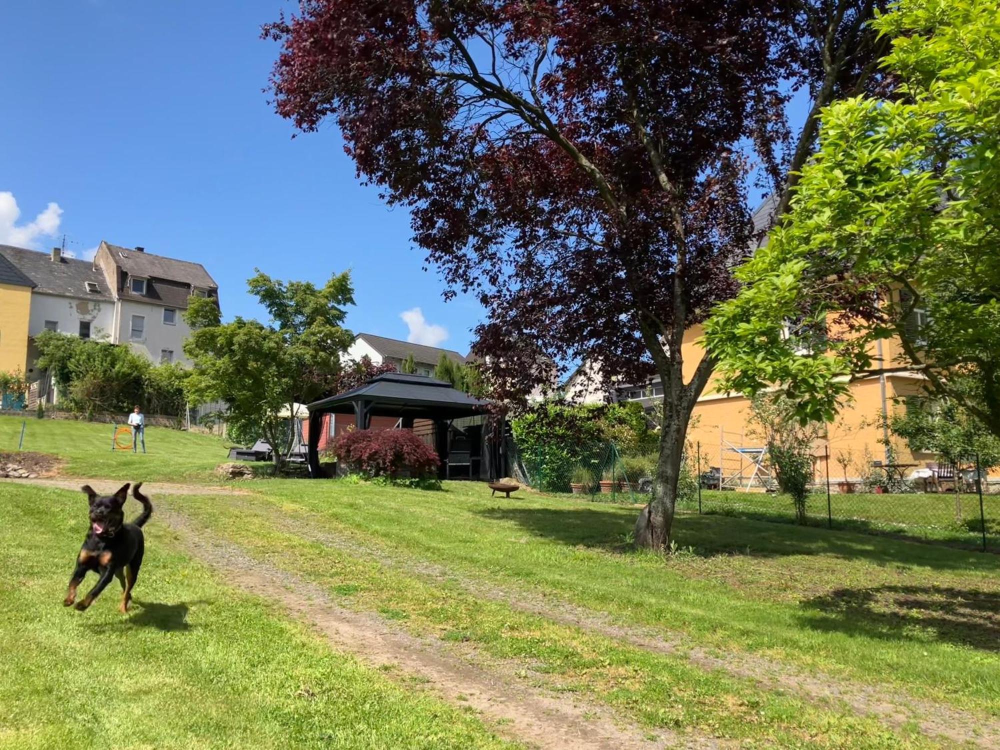 Neu - Ferienwohnungen Im Winzergarten Traben-Trarbach Ngoại thất bức ảnh
